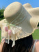 Beige Wide Brim Straw Hat 2