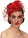 Accessori per capelli con fiocco di piume in rete vintage
